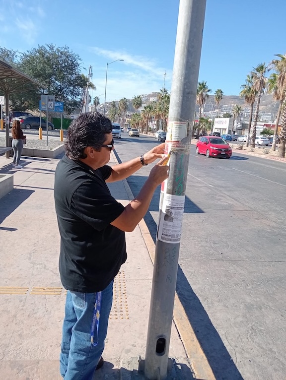Implementa Dirección de Imagen Urbana acciones para la regularización y ordenamiento de anuncios publicitarios en CSL