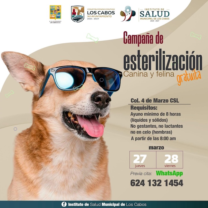 Anuncian campaña de esterilización canina y felina en Cabo San Lucas; será este 27 y 28 de marzo