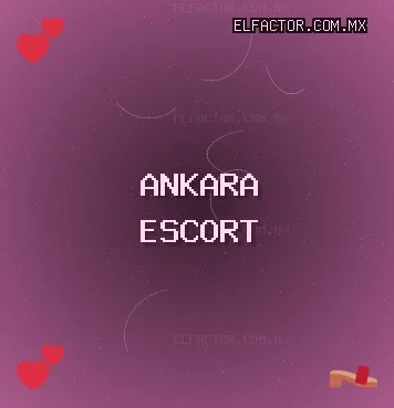 Ankara Escort: Pursaklar Escort, Etimesgut Escort, Haymana Escort