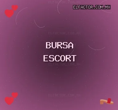 Bursa Escort: Orhangazi Escort, Gemlik Escort, Nilüfer Escort