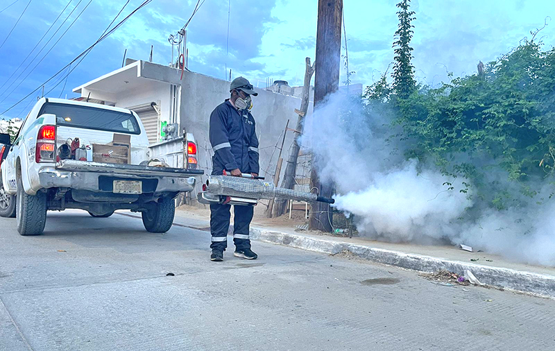 Iniciará este viernes el ciclo de fumigación contra el mosco transmisor del dengue en Los Cabos