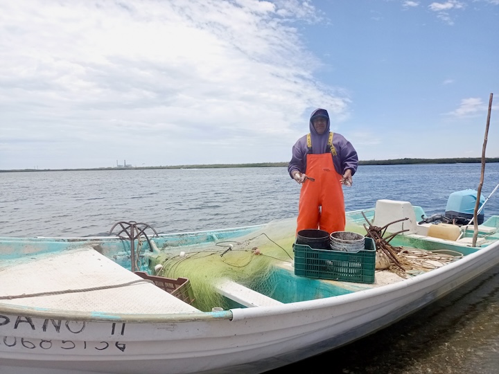Destaca Gobierno de BCS el esfuerzo de pescadores y acuicultores en el Día Mundial del Pescador