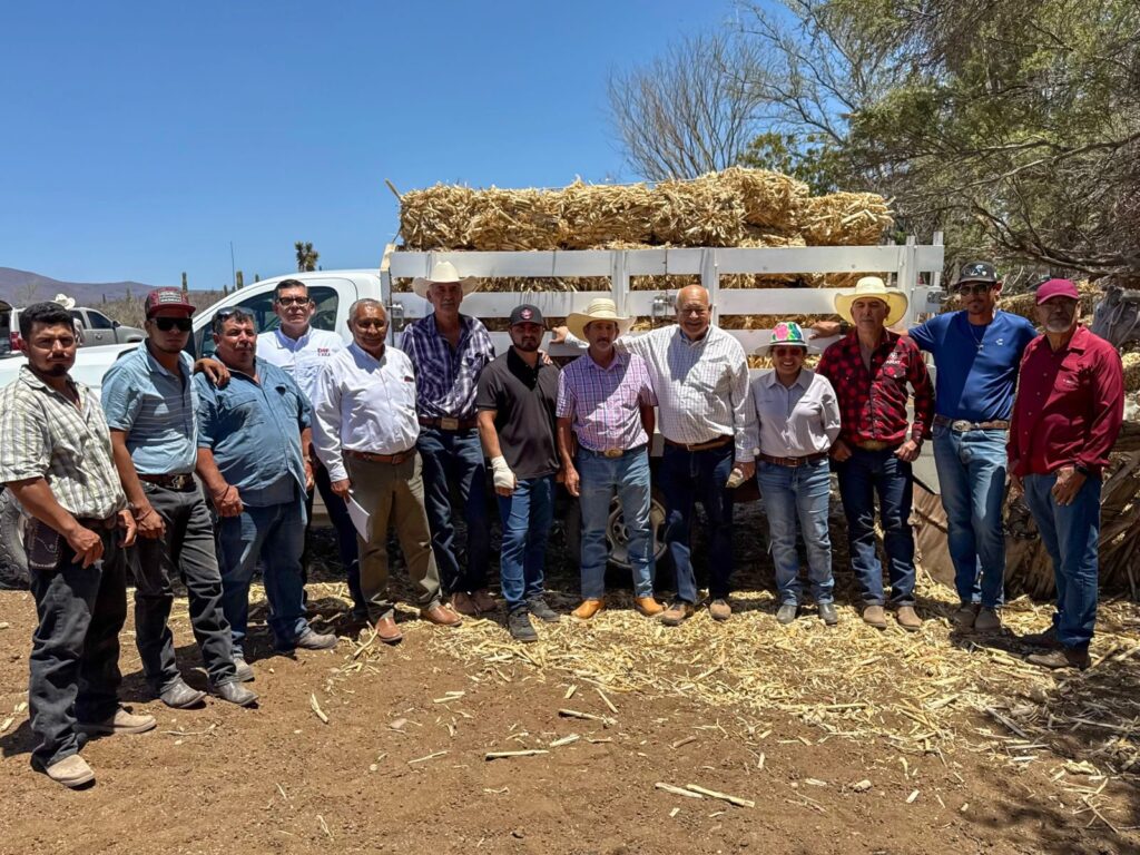 SEPADA entrega forraje y apoyos productivos a familias ganaderas de Mulegé