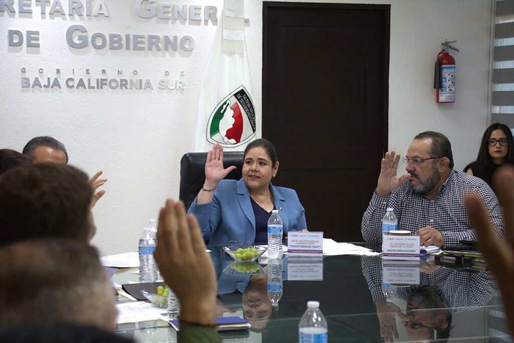 Aprueba Consejo de Paz y Justicia Cívica de BCS Plan de Acción 2026-2027